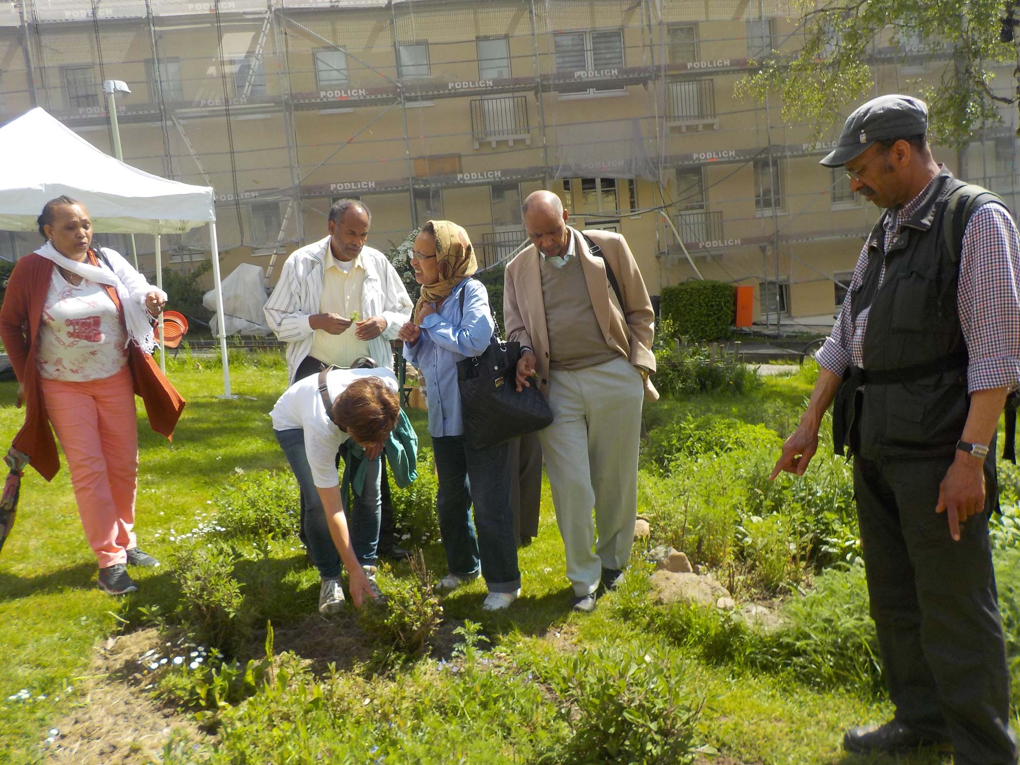 Internationaler Garten bei Gartenkulturtagen in Kassel