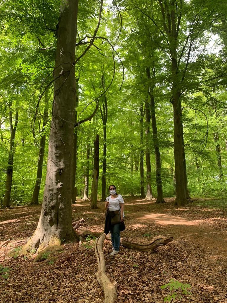 Im Wald spazieren